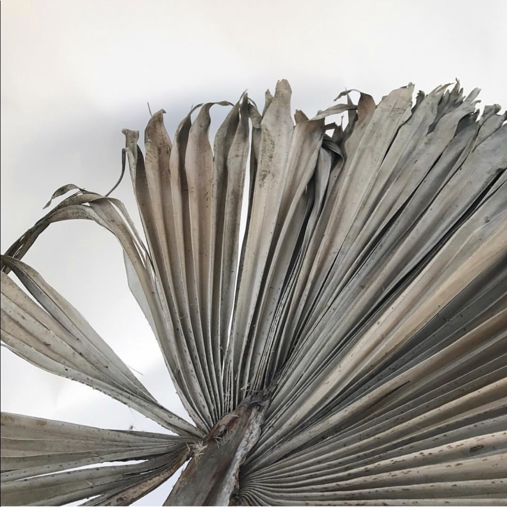 Meet your Posher, Yana